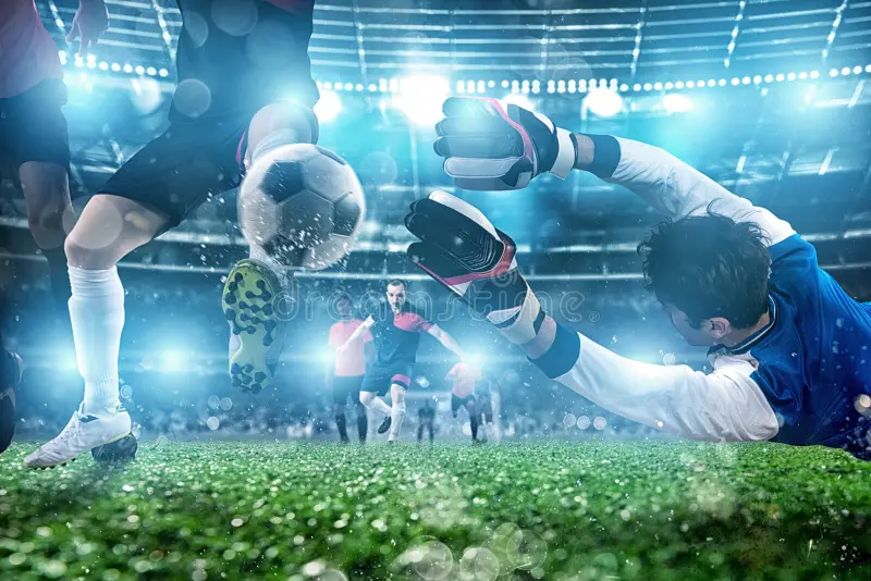 星空·体育(Xingkong)官方网站 - XINGKONG SPORTS