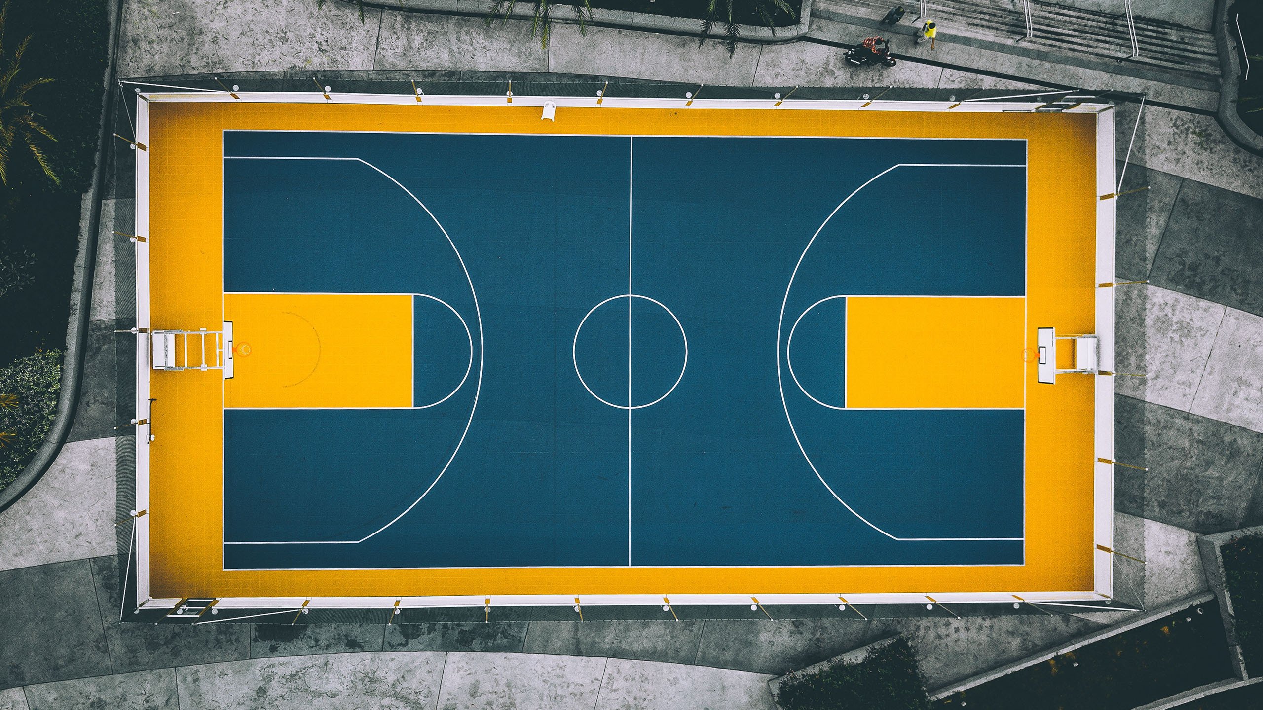 NBA赛季抢断效率排行榜分析，nba本赛季抢断王