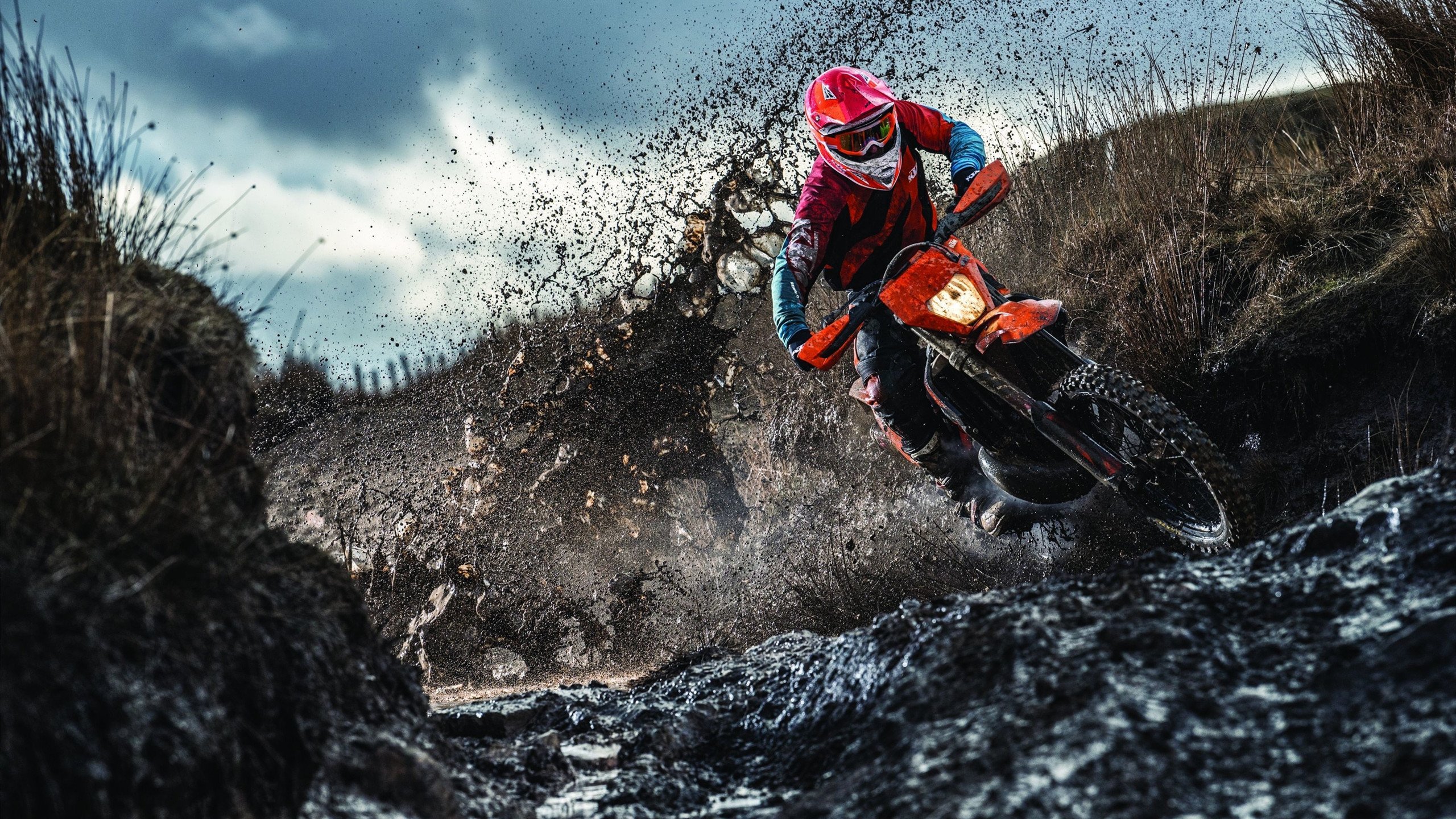 西雅图球员面对豪门压力展现韧性,西雅图新球队