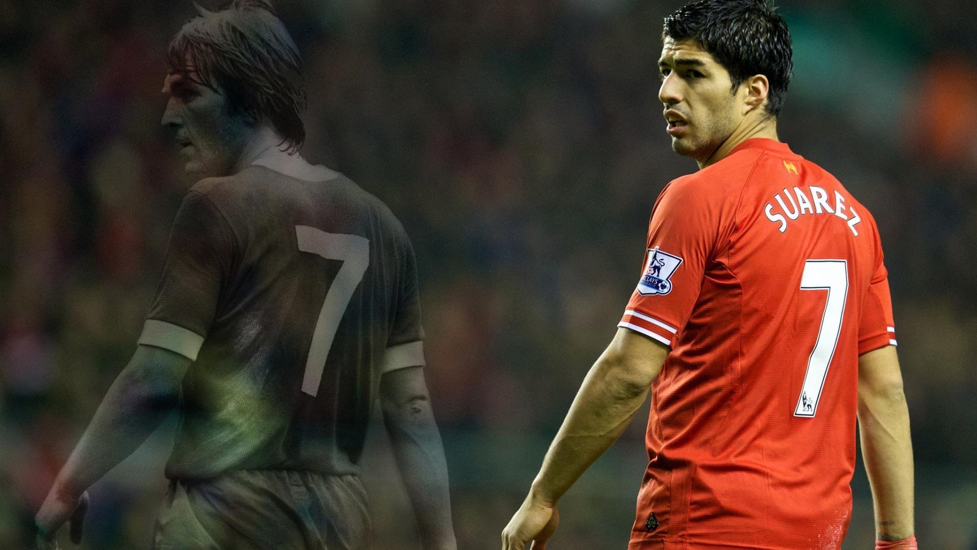 “美洲狮队再度登顶，阿根廷橄榄球未来光明”